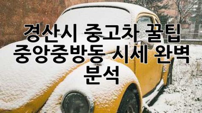 경산시 중고차 꿀팁🍯: 중앙/중방동 시세 완벽 분석!